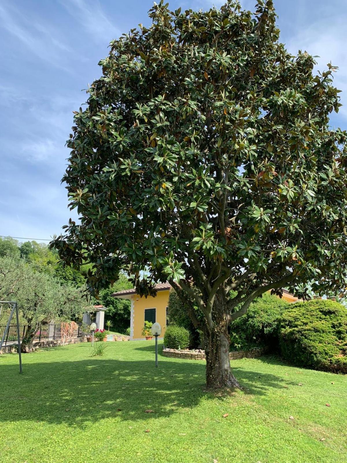 Poli Villa'S Apartment Bardolino Luaran gambar